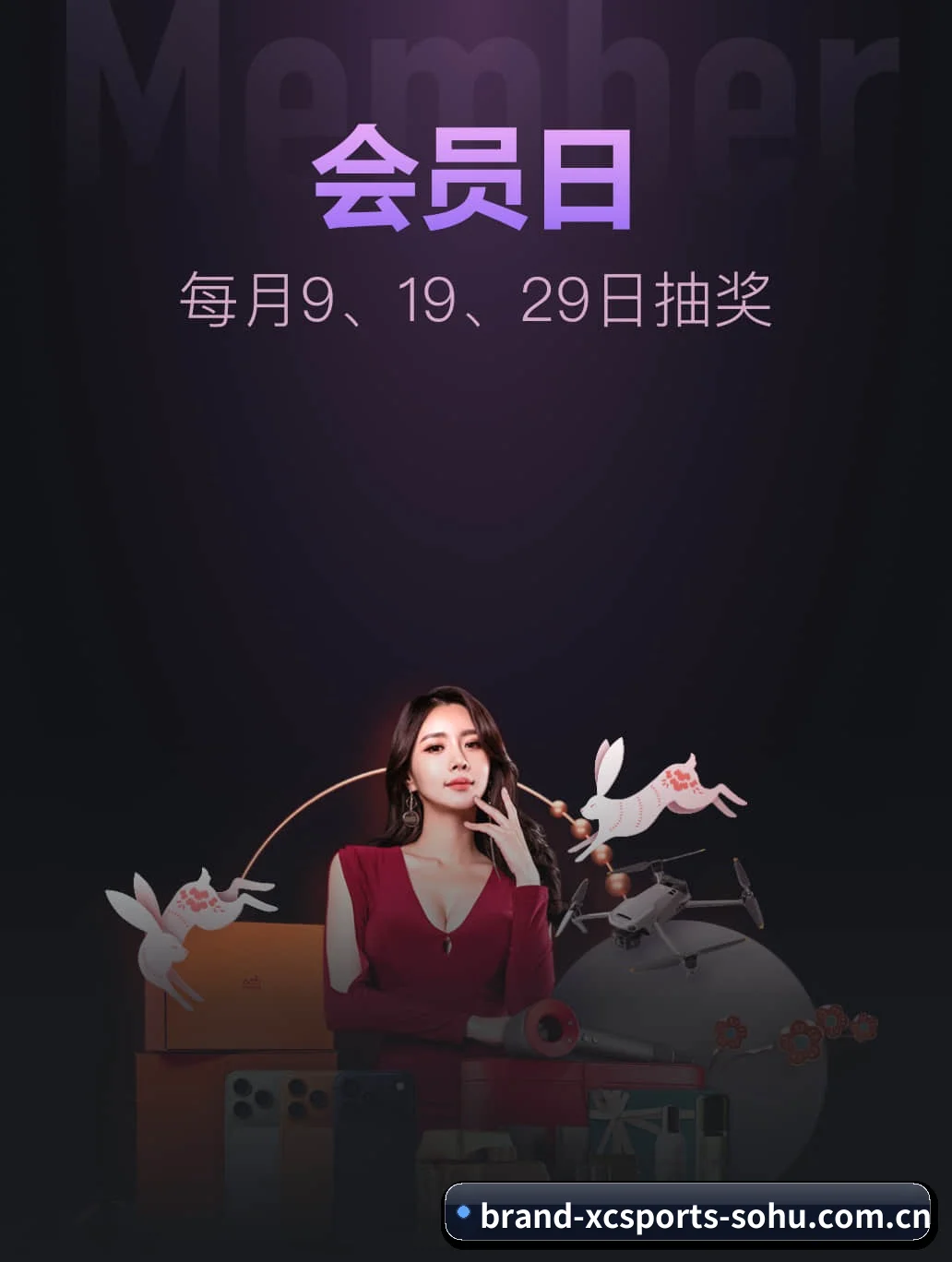 从此观赛更有深度
